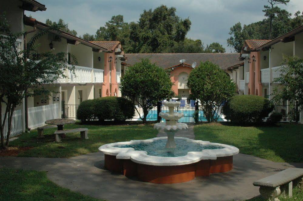 Motel 6 Tallahassee, Fl North Monroe Exterior foto